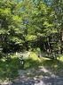 1694 Rackety Trail Road, Minden, ON 