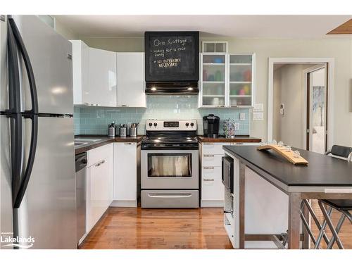 104 Point View Lane, Huntsville, ON - Indoor Photo Showing Kitchen With Upgraded Kitchen