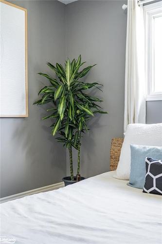 67 Salisbury Road, Prince Edward County, ON - Indoor Photo Showing Bedroom