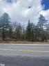 Plot 143 Lot 12 Highway 518 W, Sprucedale, ON 