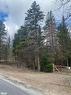 Plot 143 Lot 12 Highway 518 W, Sprucedale, ON 