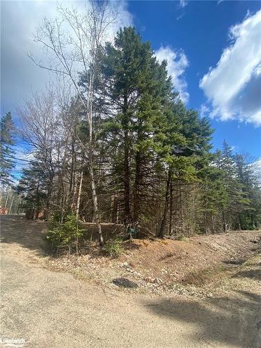 Plot 143 Lot 12 Highway 518 W, Sprucedale, ON 