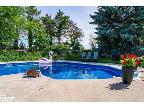 2935 10 Nottawasaga Concession N, Collingwood, ON - Outdoor With In Ground Pool With Backyard