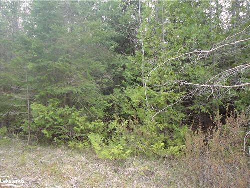 Lot 74 Bay Sands Drive, Wasaga Beach, ON 