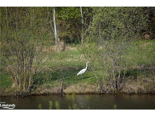 1768 8 Concession S, Clearview, ON - Outdoor With Body Of Water With View