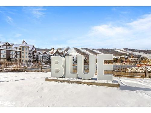 324-170 Jozo Weider Boulevard, The Blue Mountains, ON - Outdoor With View