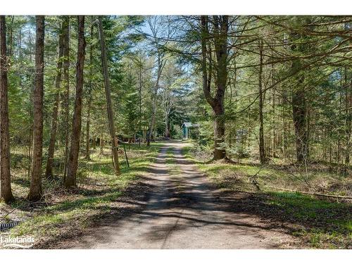 1071 Forrester Trail, Bracebridge, ON - Outdoor With View
