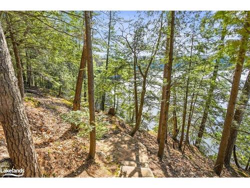 12865 Little Hawk - South Shore Lake, Haliburton, ON - Outdoor With View