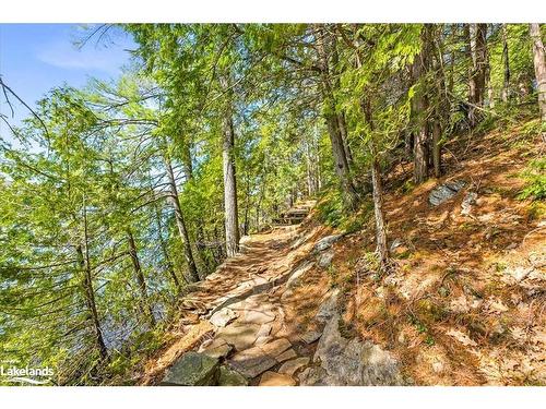 12865 Little Hawk - South Shore Lake, Haliburton, ON - Outdoor With View