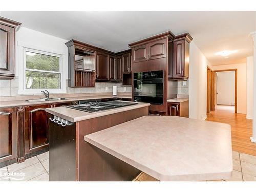 53 Pilon Road, Tiny, ON - Indoor Photo Showing Kitchen With Double Sink