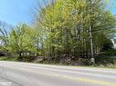 Part Lot 31 1 Grey Road, Georgian Bluffs, ON 