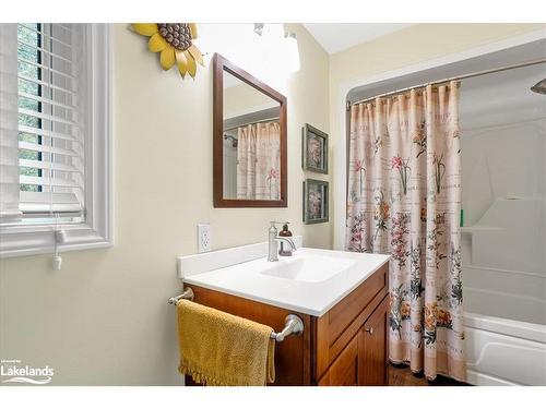 1074 Chelsea Lane, Algonquin Highlands, ON - Indoor Photo Showing Bathroom