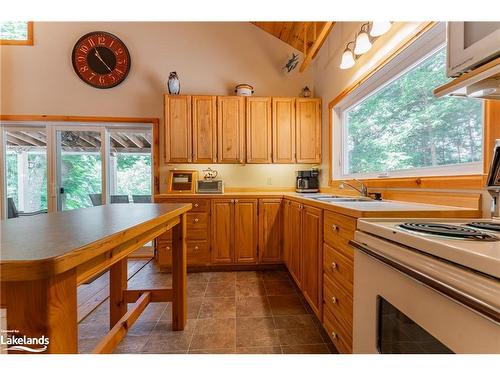 10469 Little Hawk Lake, Algonquin Highlands, ON - Indoor Photo Showing Kitchen With Double Sink