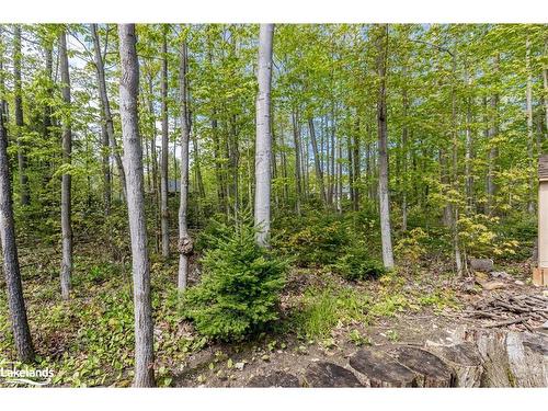 32 Pinecone Avenue, Tiny, ON - Outdoor With View