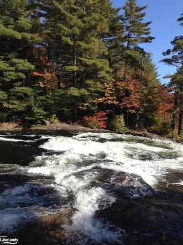 1181 Sherwood Forest Road, Bracebridge, ON - Outdoor With View