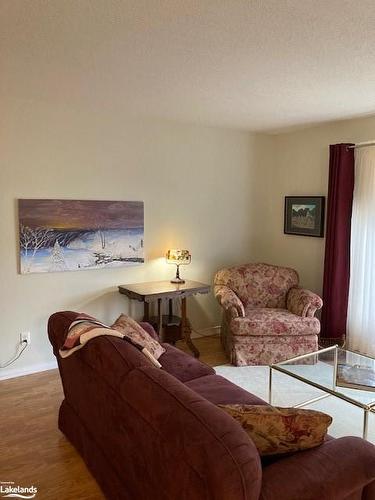389 Walnut Street, Collingwood, ON - Indoor Photo Showing Living Room