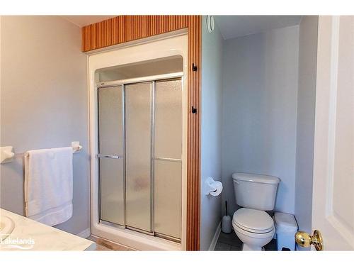 136 Maple Lane, Grey, ON - Indoor Photo Showing Bathroom