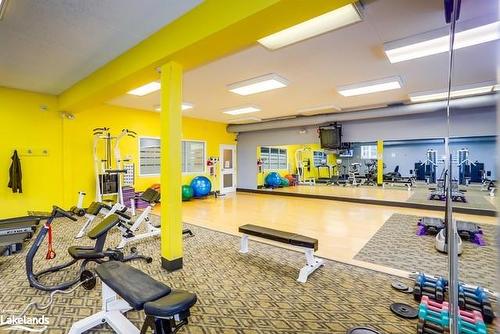 395 Mariners Way, Collingwood, ON - Indoor Photo Showing Gym Room