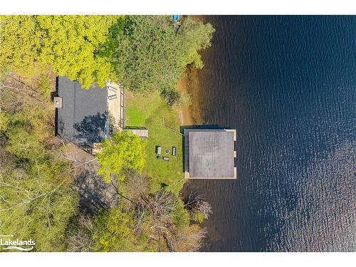 1017 White Pine Road, Dwight, ON - Outdoor With View