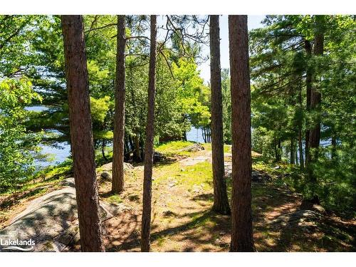 11120 St. Margarets Island, Algonquin Highlands, ON - Outdoor With View