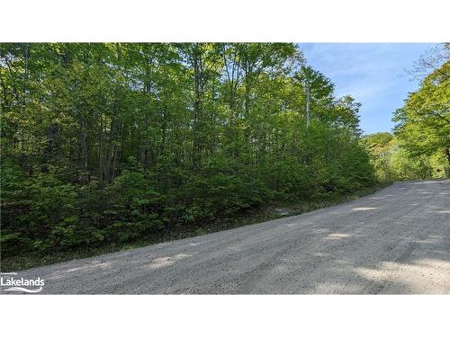 4 Northshore Road, Utterson, ON 