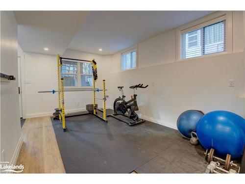 236 Elizabeth Street, Guelph, ON - Indoor Photo Showing Gym Room