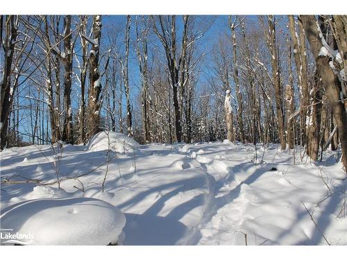 1888 Falkenburg Road, Muskoka Lakes, ON - Outdoor With View