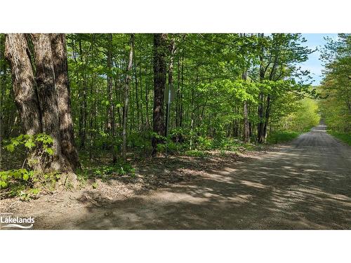 1 Northshore Road, Utterson, ON 