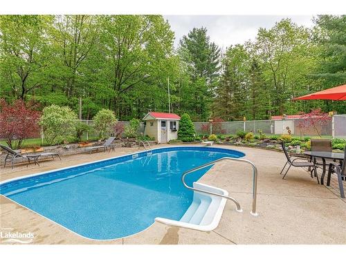 239 Oxbow Park Drive, Wasaga Beach, ON - Outdoor With In Ground Pool With Backyard