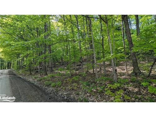 2 Northshore Road, Utterson, ON 