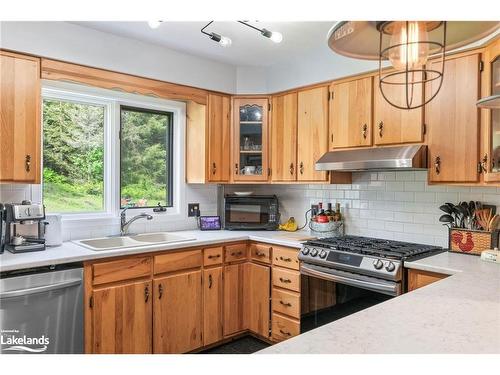 156 Lakeshore Drive, Sundridge, ON - Indoor Photo Showing Kitchen With Double Sink