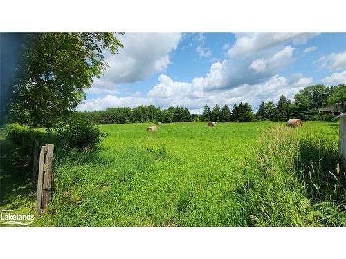 4361 12 Highway S, Ramara, ON - Outdoor With View