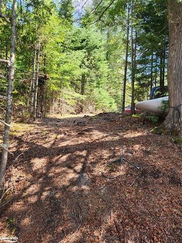 Con 3-Part Lot 6 Summer Road, Lount, ON 