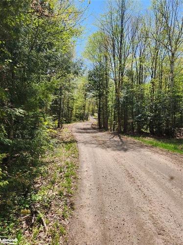 Con 3-Part Lot 6 Summer Road, Lount, ON 