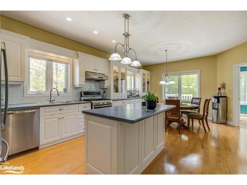 91 Mary Jane Road, Tiny, ON - Indoor Photo Showing Kitchen With Upgraded Kitchen