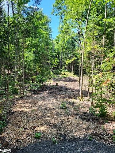 Lot 4 Fairy Falls Road, Baysville, ON 