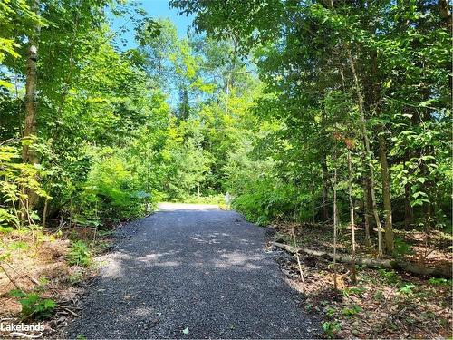 Lot 4 Fairy Falls Road, Baysville, ON 