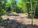 Lot 4 Fairy Falls Road, Baysville, ON 