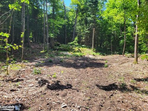 Lot 4 Fairy Falls Road, Baysville, ON 