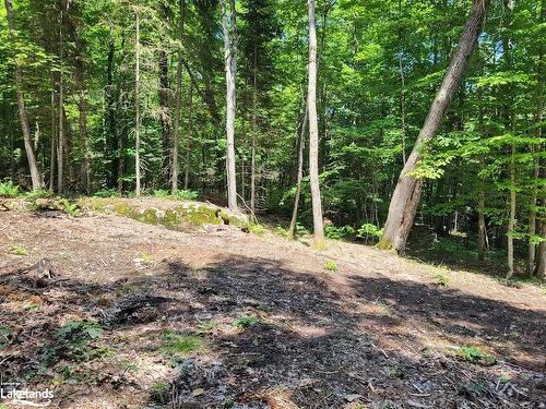 Lot 4 Fairy Falls Road, Baysville, ON 