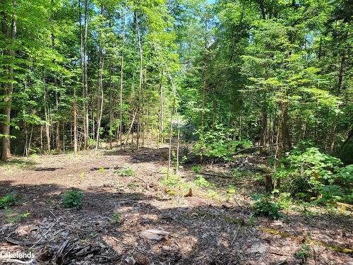 Lot 4 Fairy Falls Road, Baysville, ON 