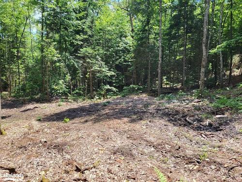 Lot 4 Fairy Falls Road, Baysville, ON 