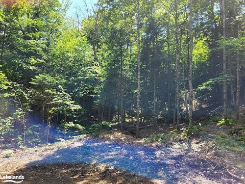 Lot 4 Fairy Falls Road, Baysville, ON 