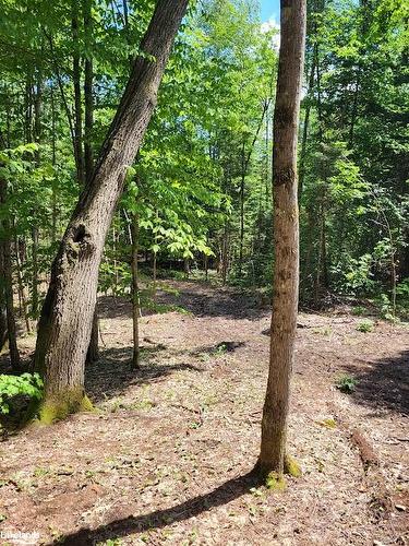 Lot 4 Fairy Falls Road, Baysville, ON 