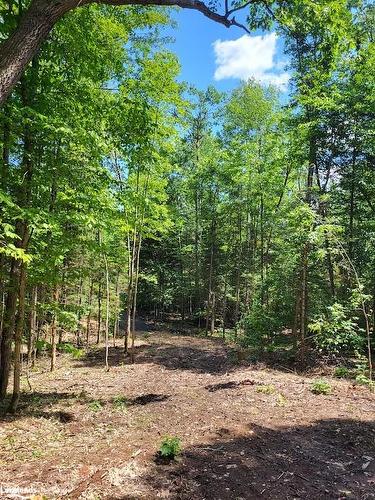 Lot 4 Fairy Falls Road, Baysville, ON 