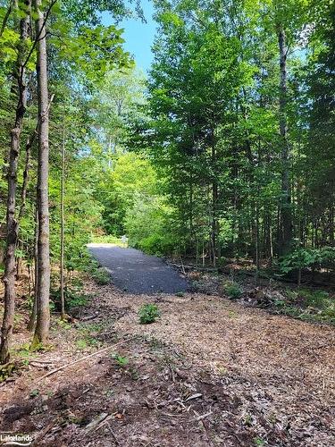 Lot 4 Fairy Falls Road, Baysville, ON 