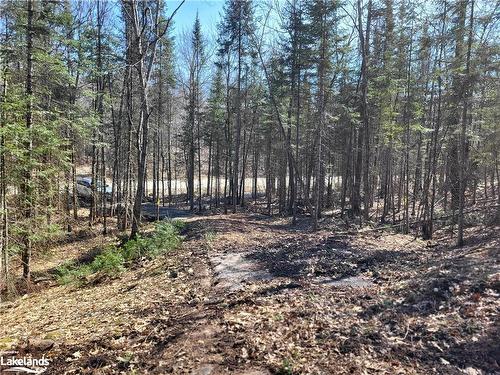 Lot 5 Fairy Falls Road, Baysville, ON 