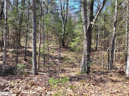 Lot 5 Fairy Falls Road, Baysville, ON 