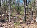 Lot 5 Fairy Falls Road, Baysville, ON 