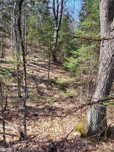 Lot 5 Fairy Falls Road, Baysville, ON 